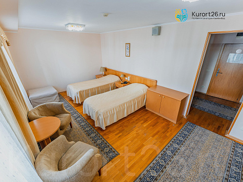 Санаторий «Долина Нарзанов» г. Кисловодск. Номера